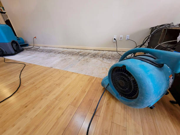 Professional Sewage Cleanup technician working in Iron Ridge, WI